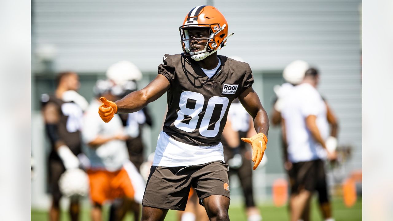 Cleveland Browns linebacker Jacob Phillips (50) drops back in coverage  during an NFL pre-season football game against the Washington Commanders,  Friday, Aug. 11, 2023, in Cleveland. (AP Photo/Kirk Irwin Stock Photo -  Alamy