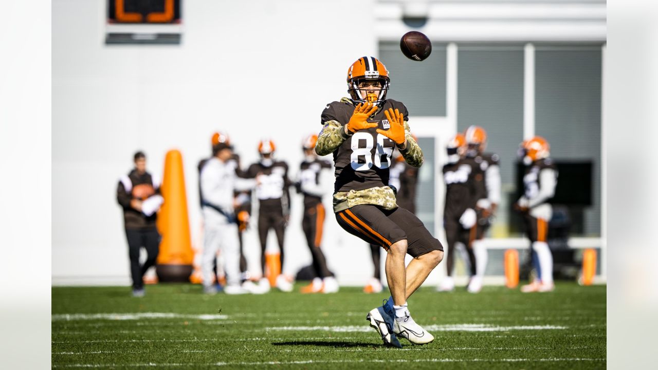 Syndication: The Enquirer Cleveland Browns tight end Harrison Bryant (88)  spikes the ball after a