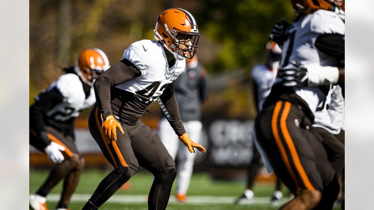 Syndication: The Enquirer Cleveland Browns tight end Harrison Bryant (88)  spikes the ball after a