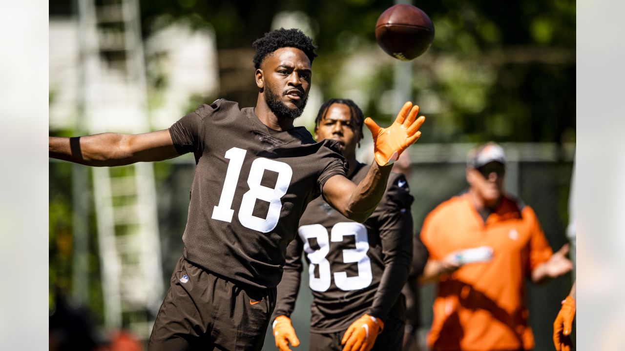 Cleveland Browns receiver David Bell participates in a drill during an NFL  football practice, Friday, May 13, 2022, in Berea, Ohio. (AP Photo/David  Dermer Stock Photo - Alamy