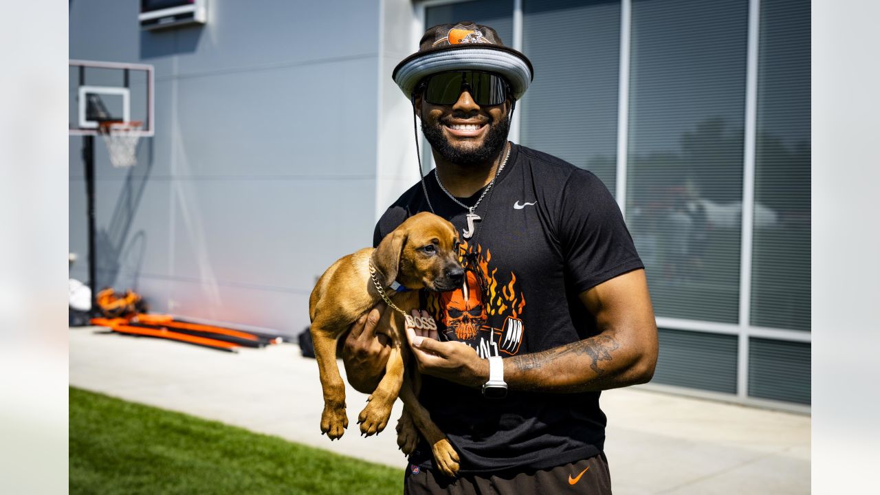 Cleveland Browns on X: Happy National Dog Day! Big s/o to Little