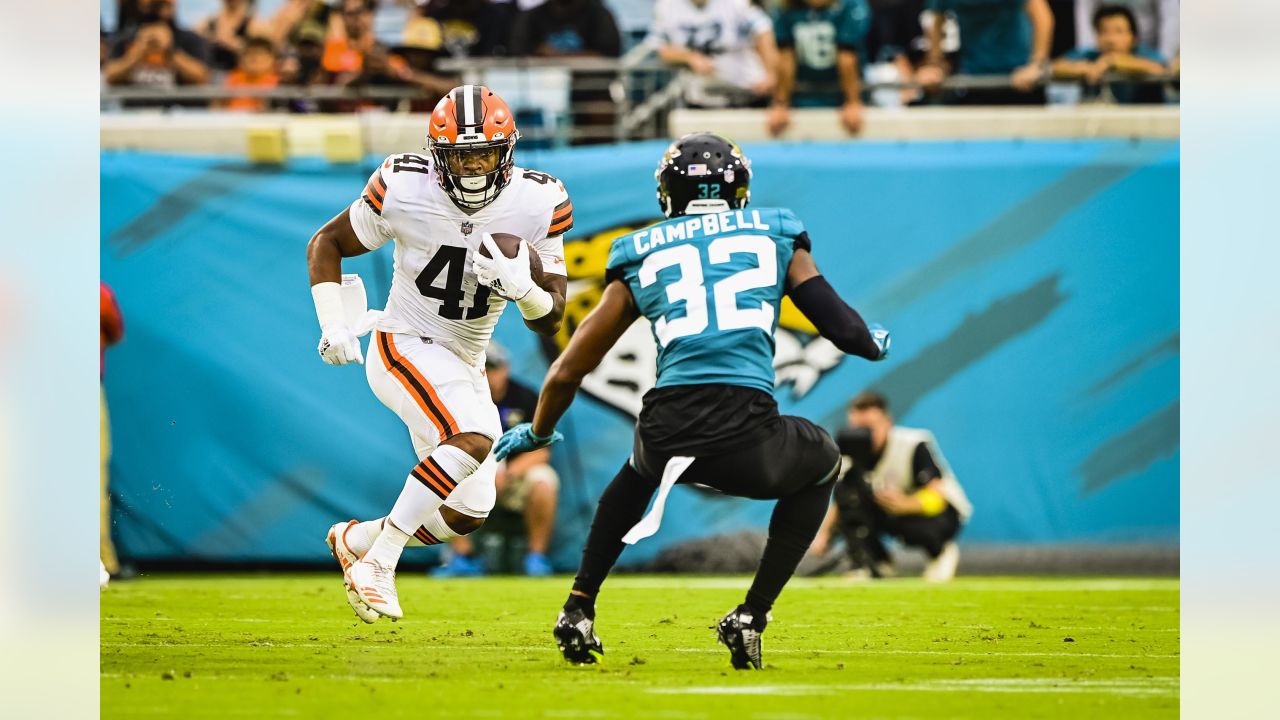 Cleveland Browns vs. Jacksonville Jaguars - 2nd Half Game Thread - Dawgs By  Nature