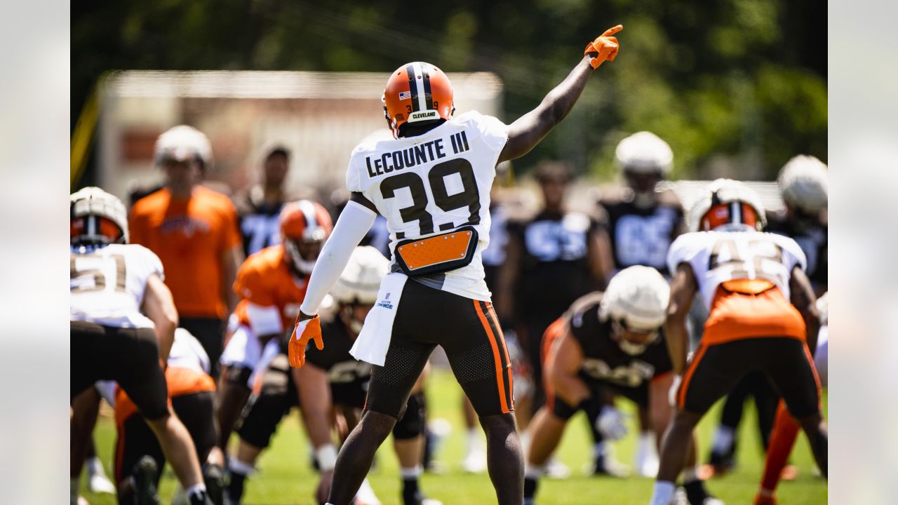 AFC North: Pre-camp look at the Cleveland Browns - Steel City Underground