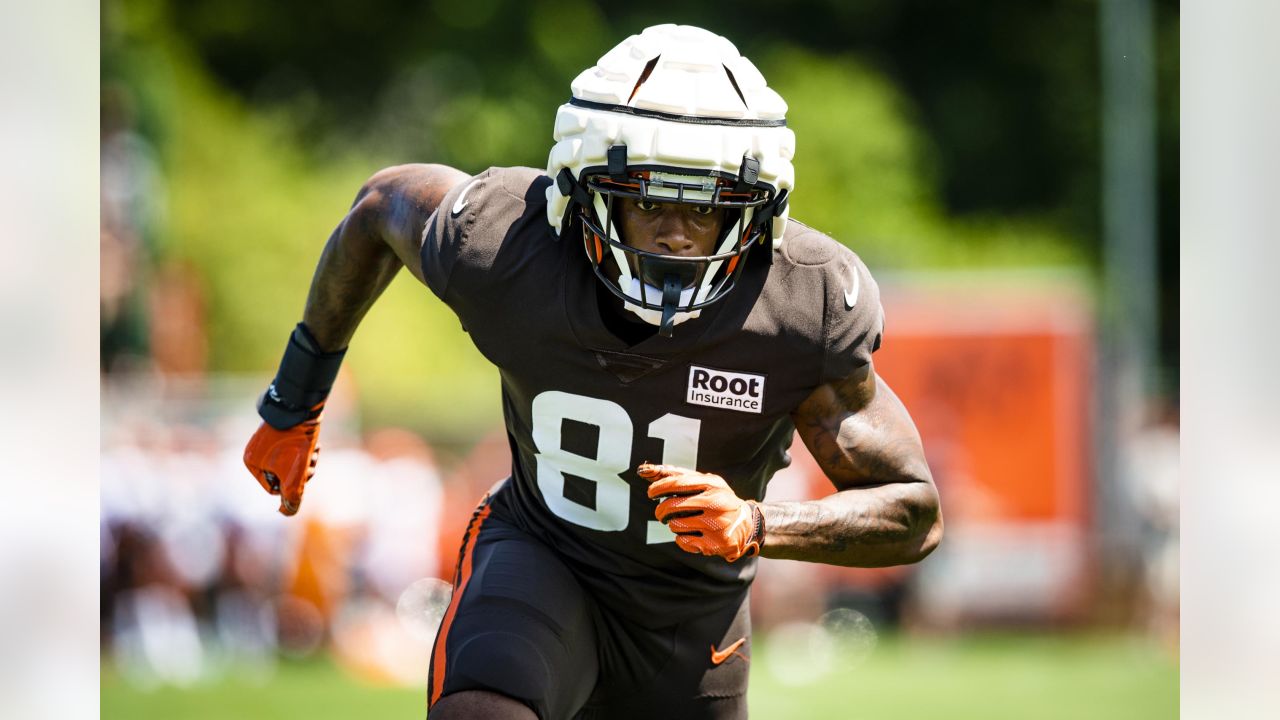 AFC North: Pre-camp look at the Cleveland Browns - Steel City Underground