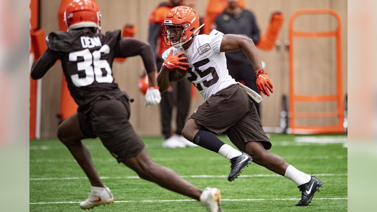 Cleveland Browns: ESPN taps as Dontrell Hilliard as a surprise offseason  standout - Dawgs By Nature