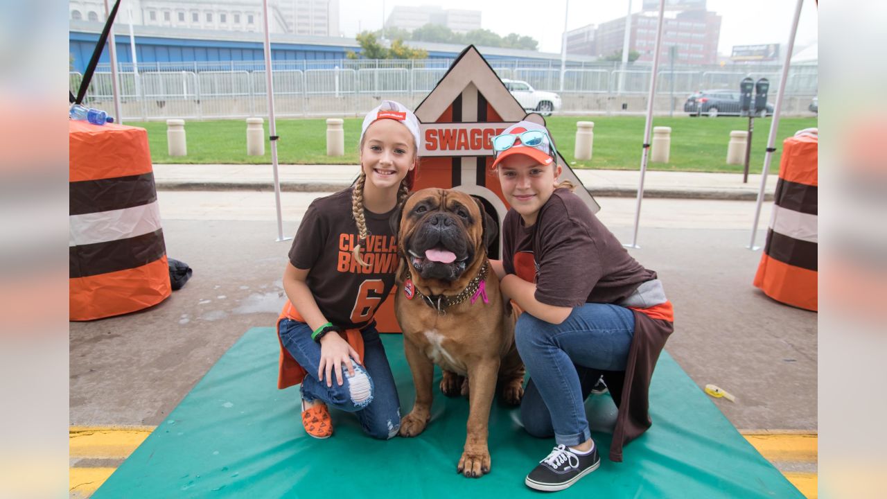 Browns beloved live mascot Swagger dies at the age of six after battle with  cancer 