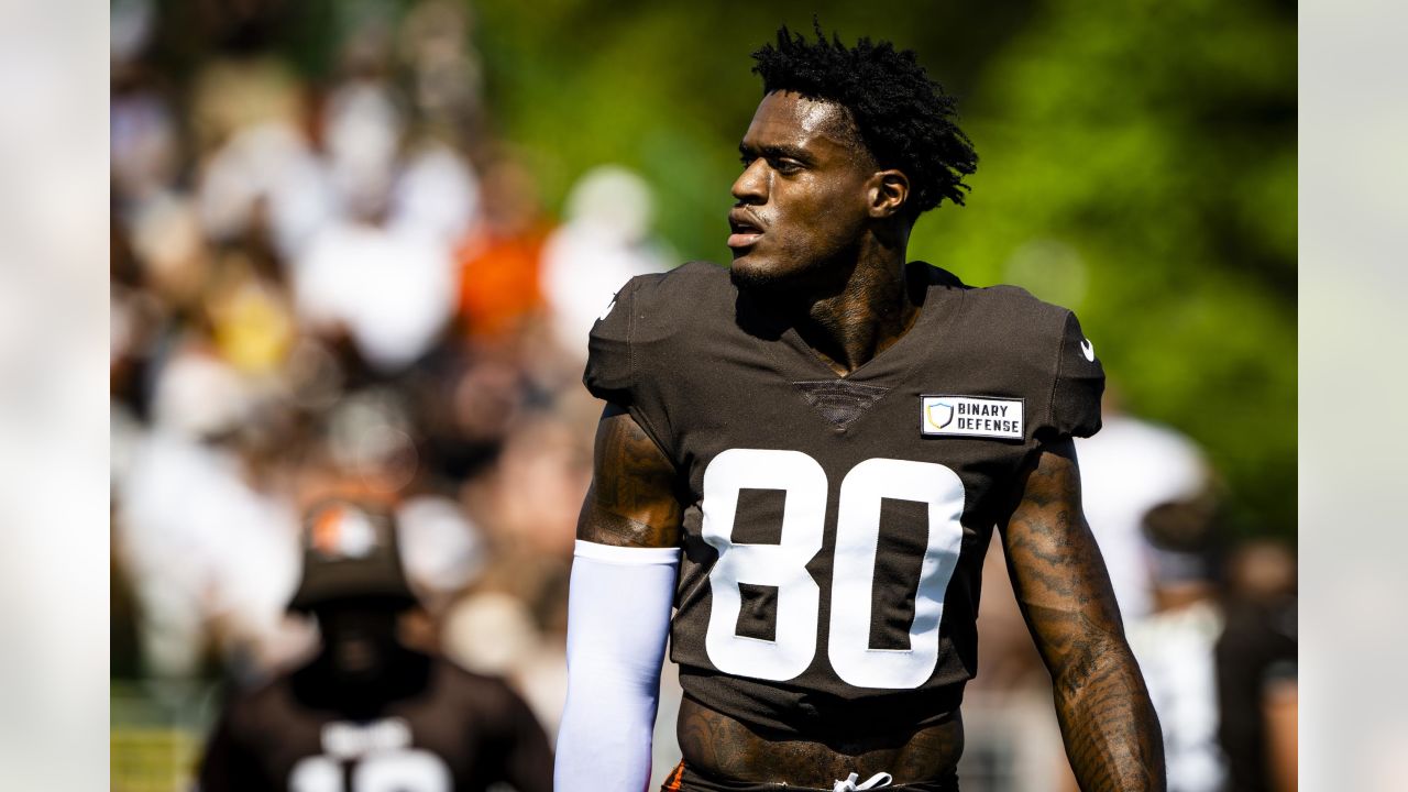 Elijah Moore injury news: Browns WR suffers rib injury in