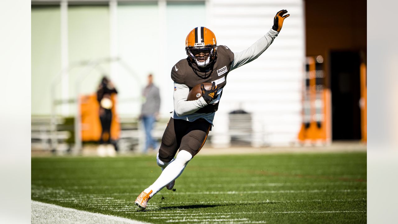 Syndication: The Enquirer Cleveland Browns tight end Harrison Bryant (88)  spikes the ball after a