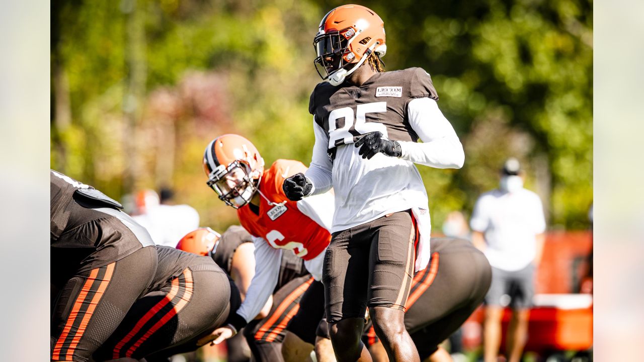 Browns D-line will tap into its depth with Larry Ogunjobi sidelined