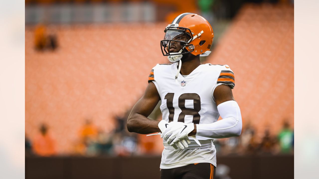 Browns QB Jacoby Brissett, a former Patriot, has come full circle to face  his old team - The Boston Globe