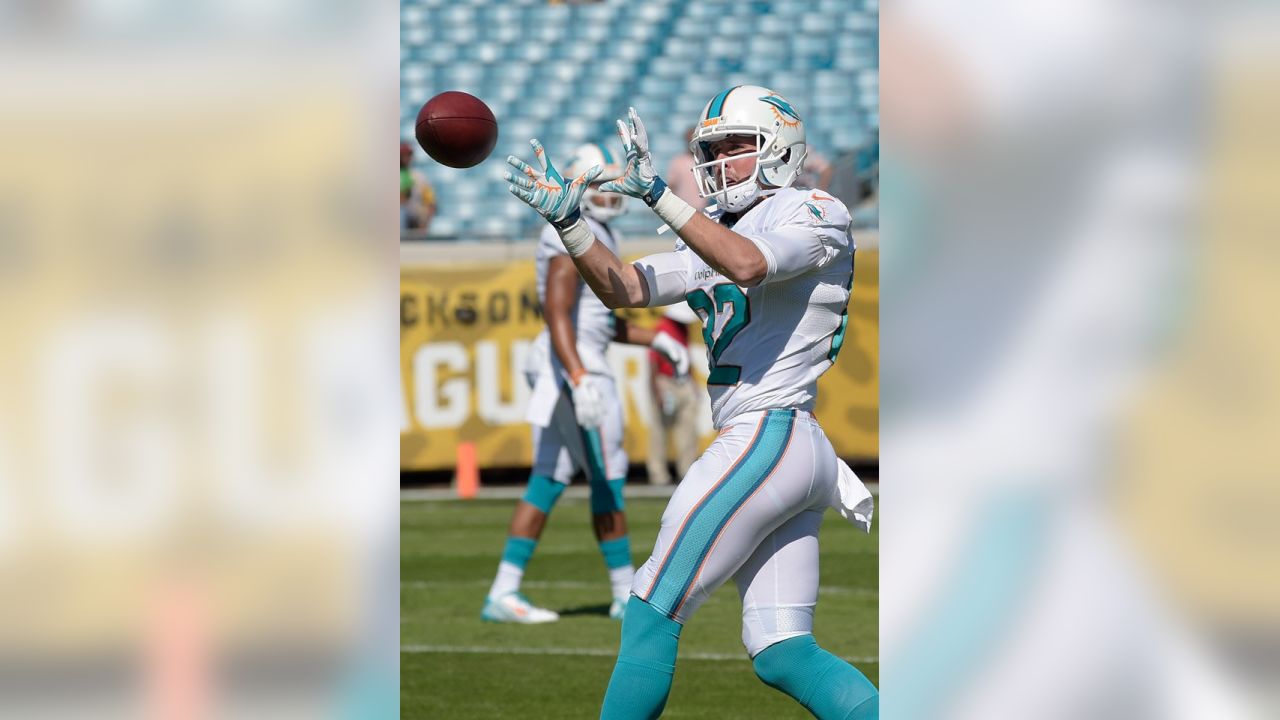 GlenOak grad Brian Hartline shines in loss to Browns