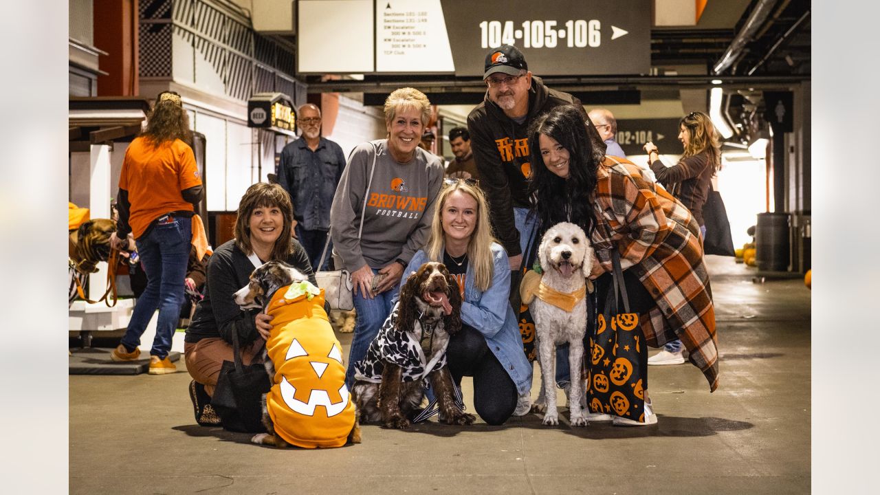 Cleveland Browns on X: Let's give a round of ap-paws for Widow, our  #BarkingBackers Dog of the Month for June! Sign up your pup and they could  be featured next month. ✍️: