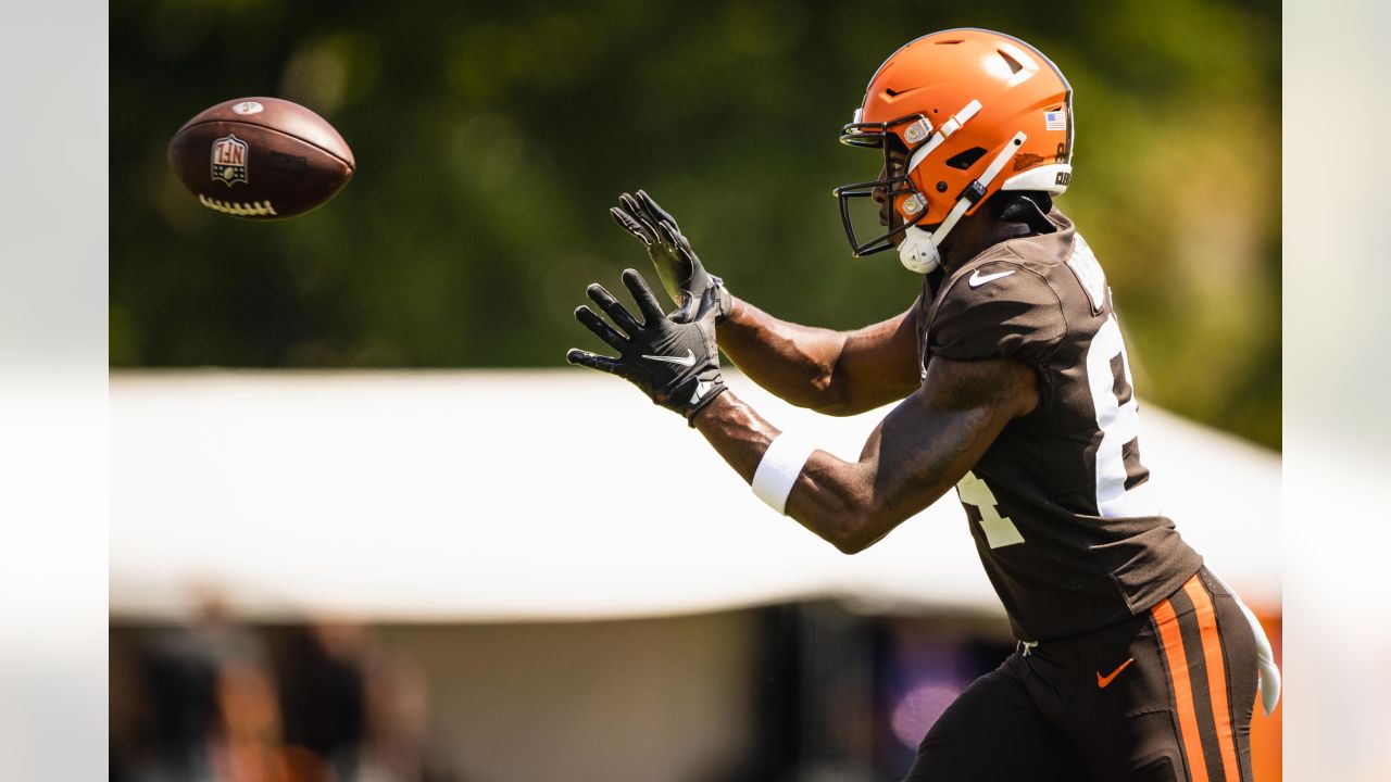 QB Jacoby Brissett 'always ready to go' when the Browns need him