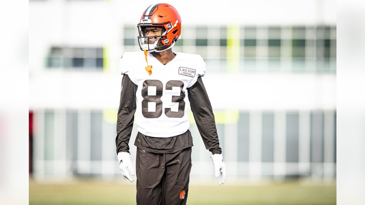 Browns 2021 position preview: Analyzing the WRs