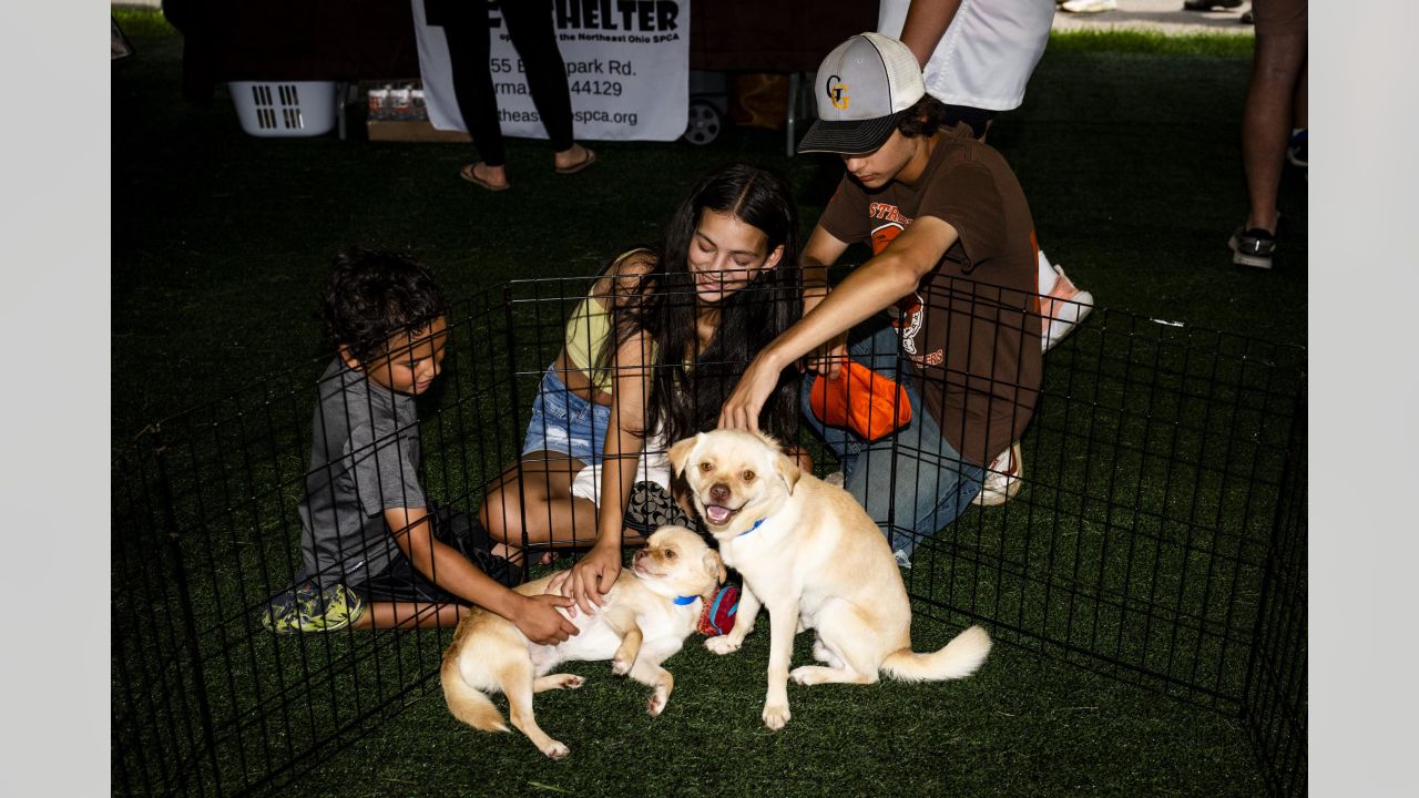 In the dog days of summer, the Cleveland Browns' puppy adoption