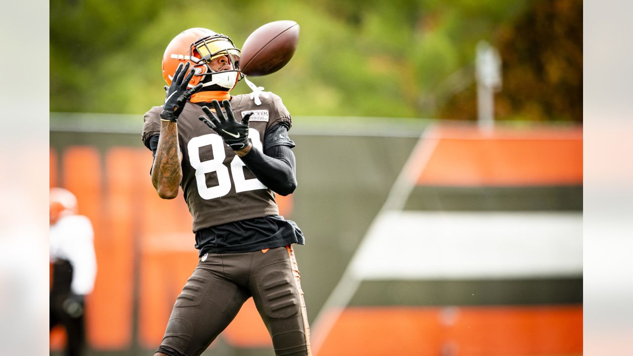 Browns offseason: Wide receiver room overflowing, bring a chair - Dawgs By  Nature