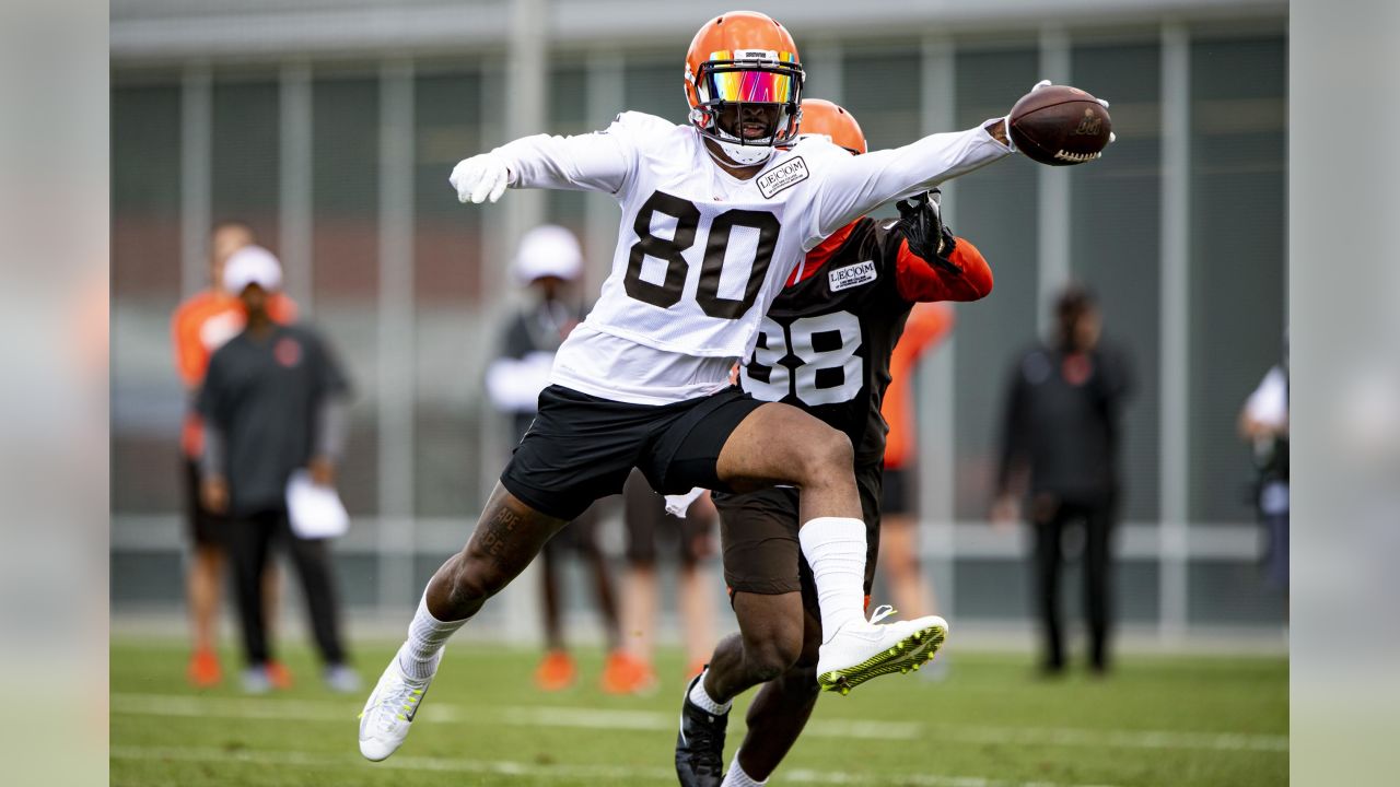 Baker Mayfield, Jarvis Landry and Damarious Randall all dangerous in  Browns' 26-20 victory over Panthers 