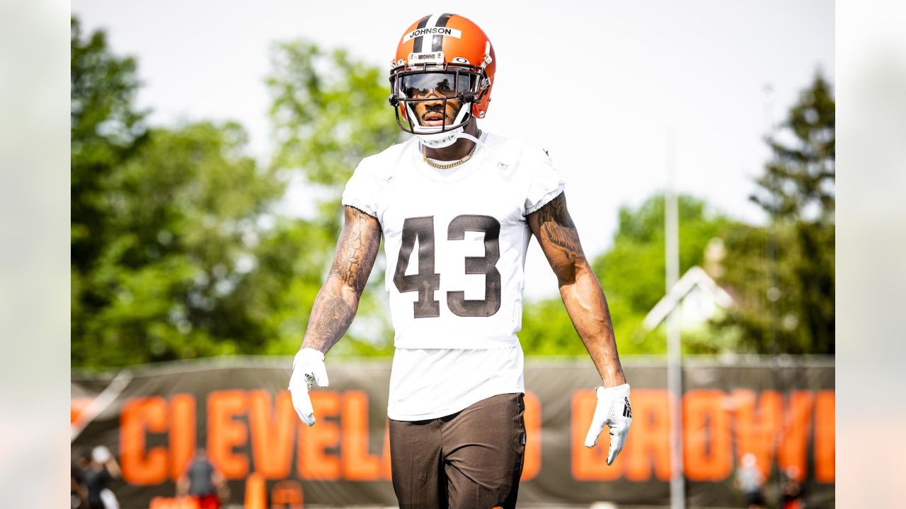 Cleveland Browns free safety John Johnson (43) celebrates with