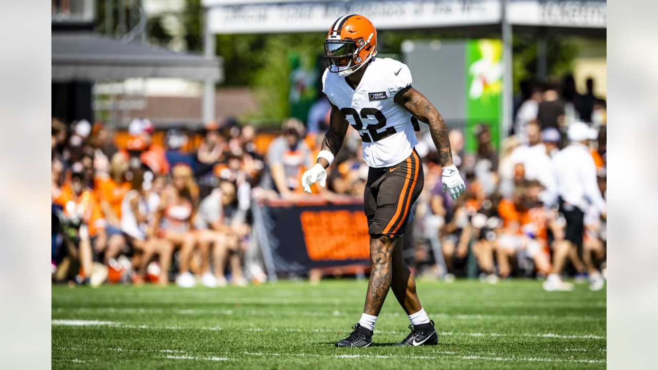 AFC North: Pre-camp look at the Cleveland Browns - Steel City Underground