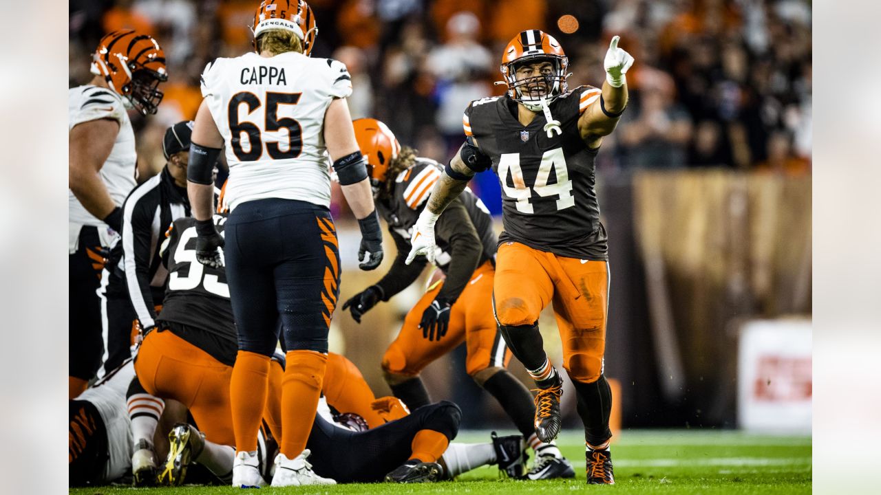 Photos: Best of the Browns - Week 8