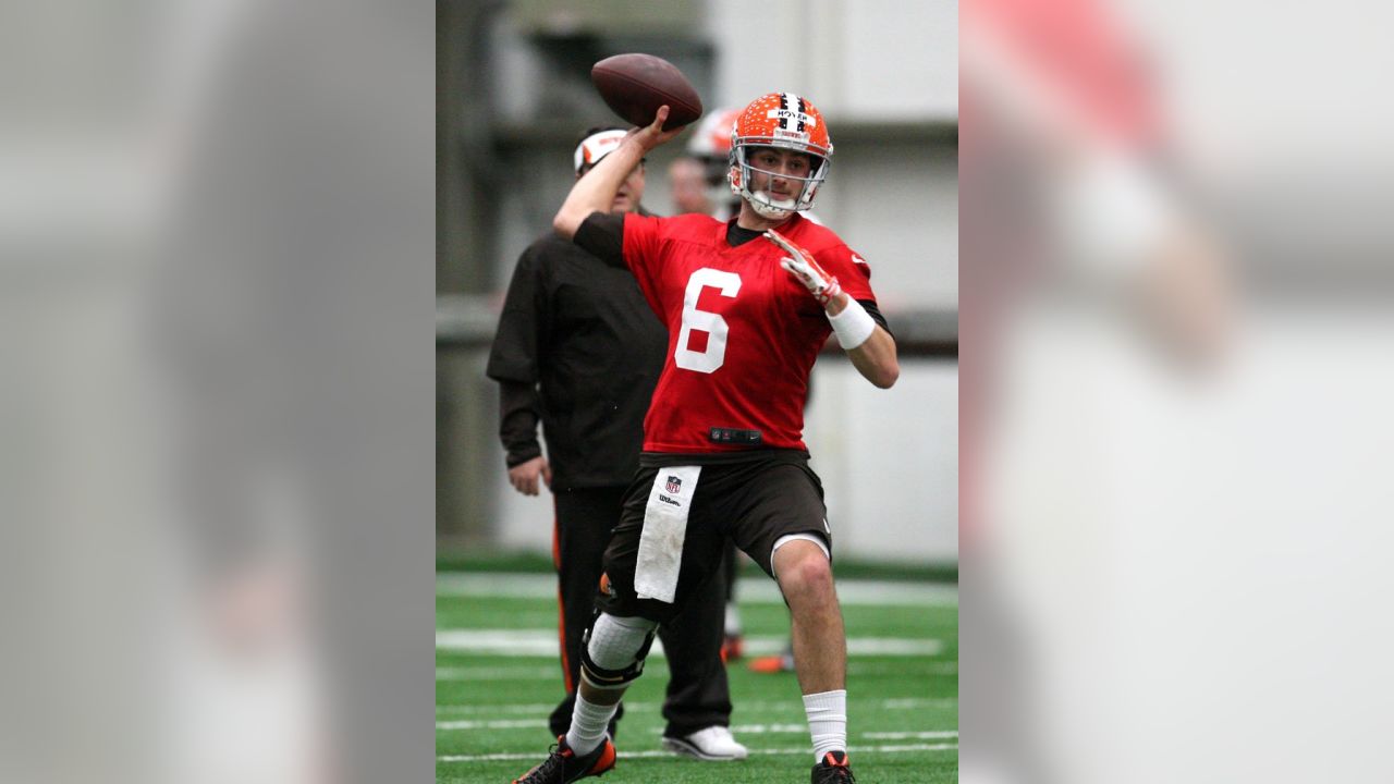 Brian Hoyer - Wikipedia