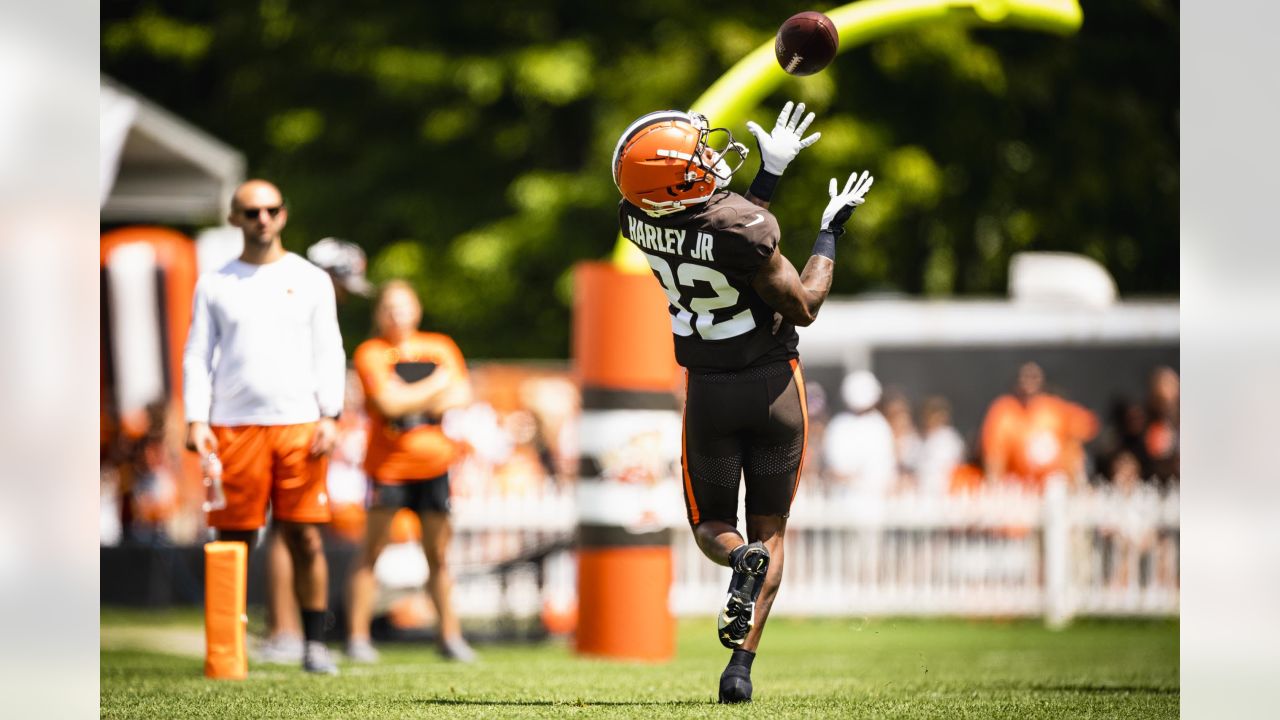 AFC North: Pre-camp look at the Cleveland Browns - Steel City Underground