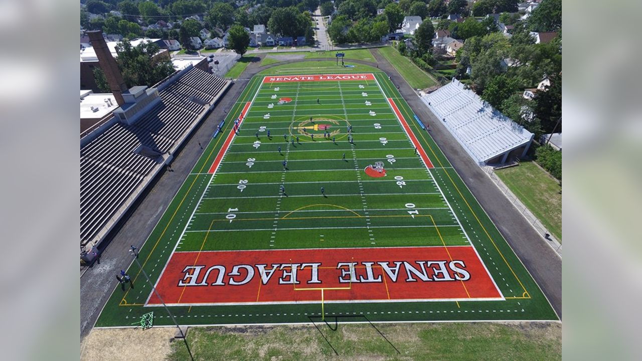 Year 2: Browns Field Project