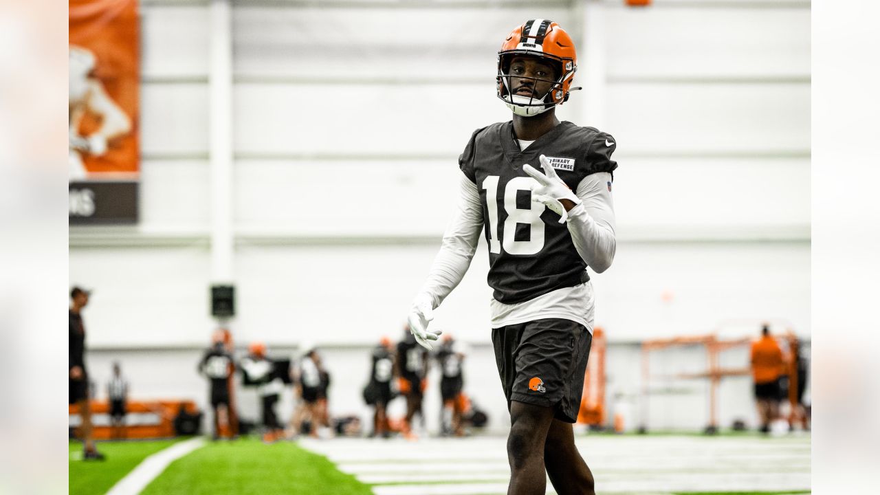 Cleveland Browns linebacker Mohamoud Diabate (43) defends during a  preseason NFL football game against the Washington Commanders on Friday,  Aug. 11, 2023, in Cleveland. Washington won 17-15. (AP Photo/David Richard  Stock Photo - Alamy