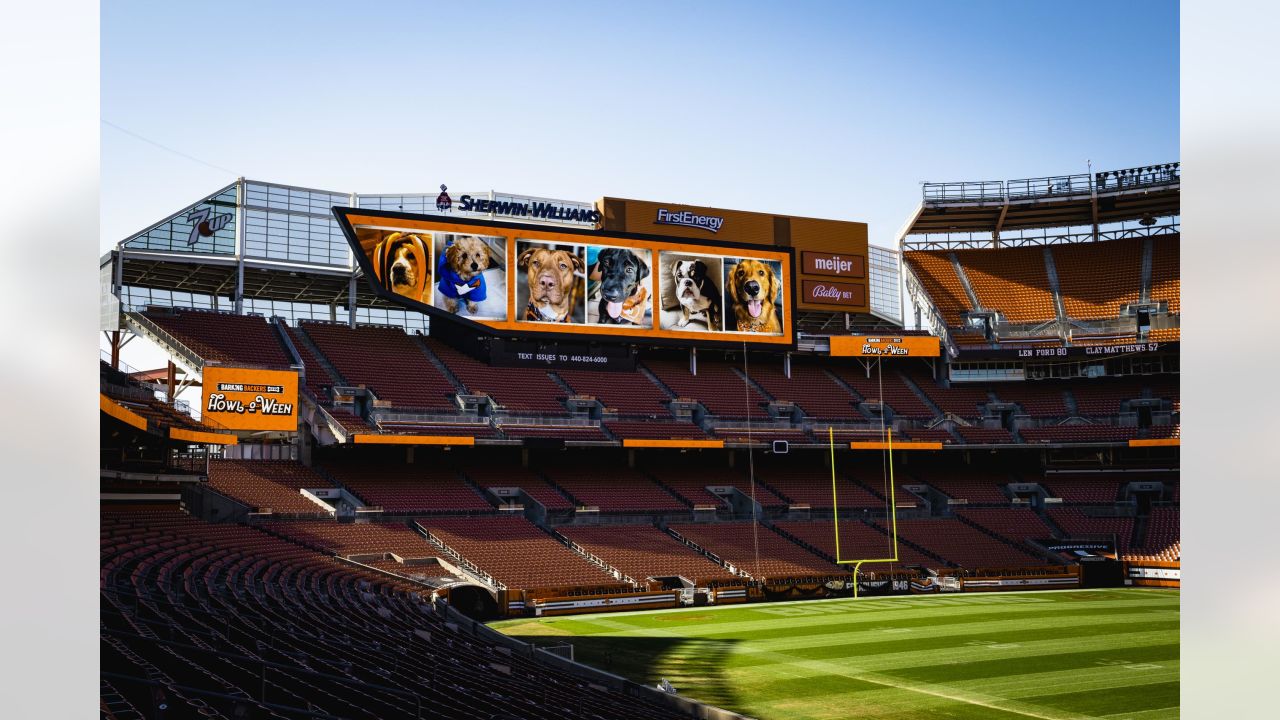 Browns host 'Howl-o-ween' for Barking Backers members at