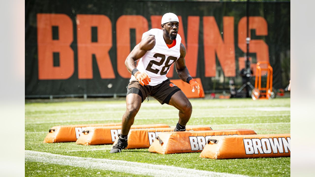 Browns S Grant Delpit on track to be fully healthy for training camp -  Dawgs By Nature