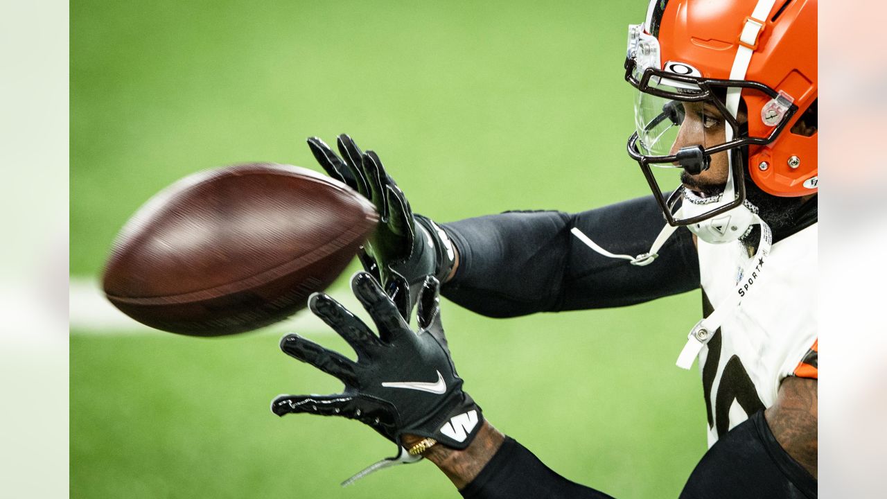 Browns will represent in the Pro Bowl: RB Nick Chubb and WR Jarvis Landry -  Dawgs By Nature