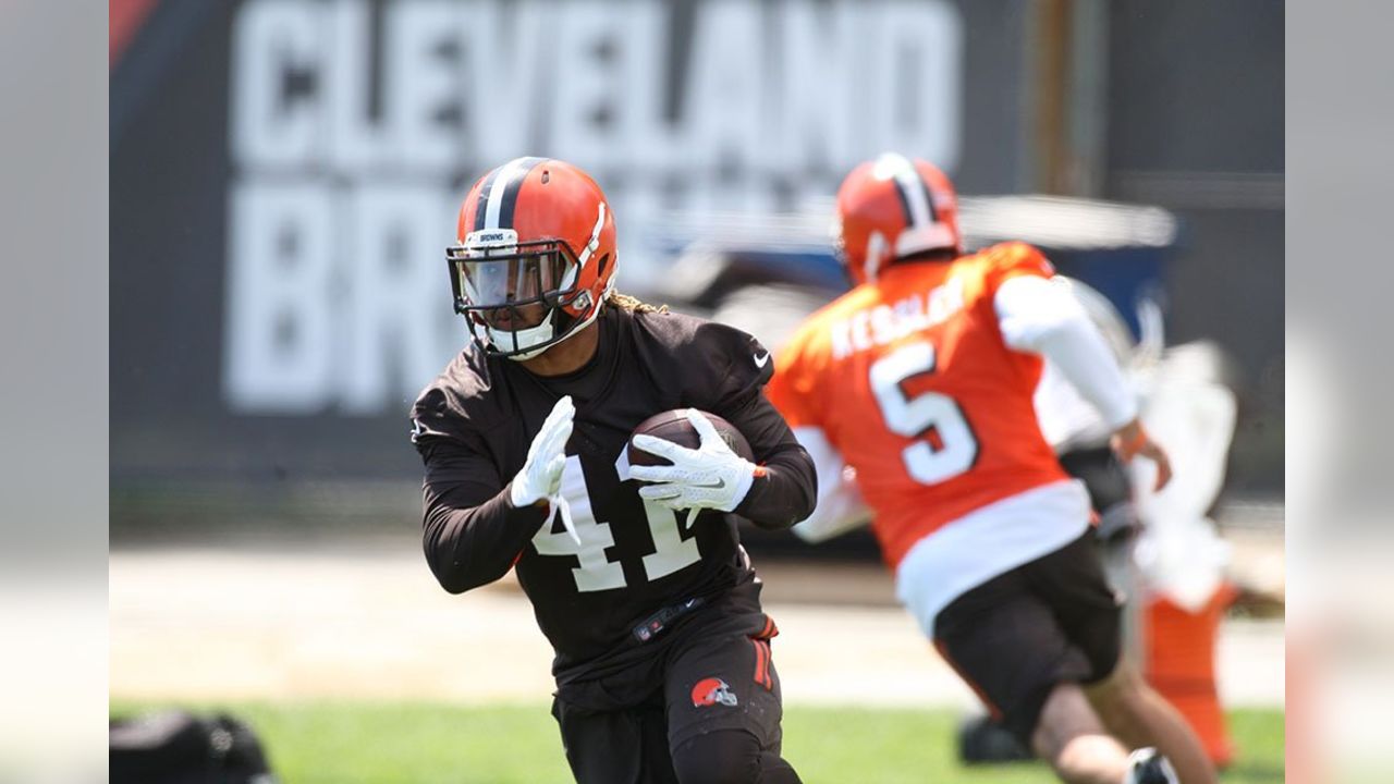 Desmond Bryant A Questionable Leader For Browns' Young D-Line - Steelers  Depot