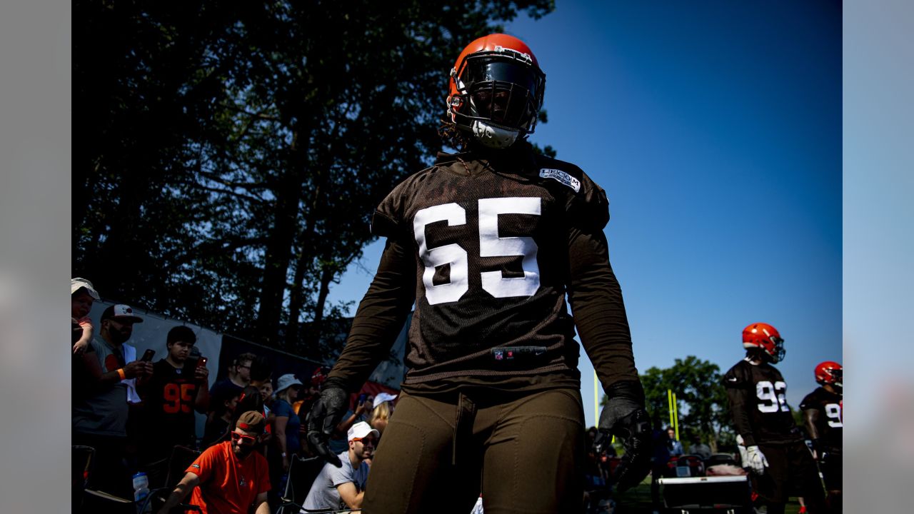 Cleveland Browns wide receiver Jarvis Landry celebrates after the Browns  defeated the Buffalo Bills 19-16 in an NFL football game, Sunday, Nov. 10,  2019, in Cleveland. (AP Photo/David Richard Stock Photo - Alamy