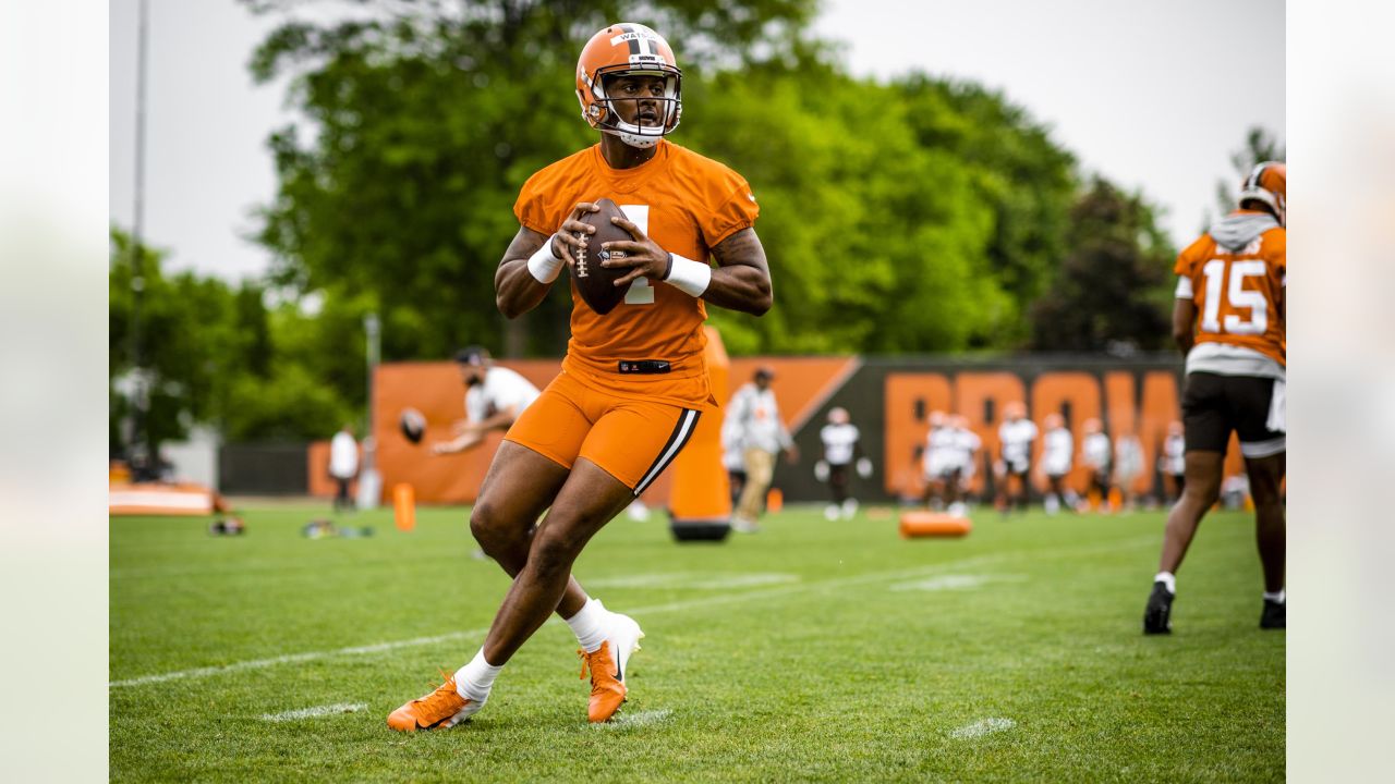 Deshaun Watson shows more swagger, improvement in Alex Van Pelt's eyes