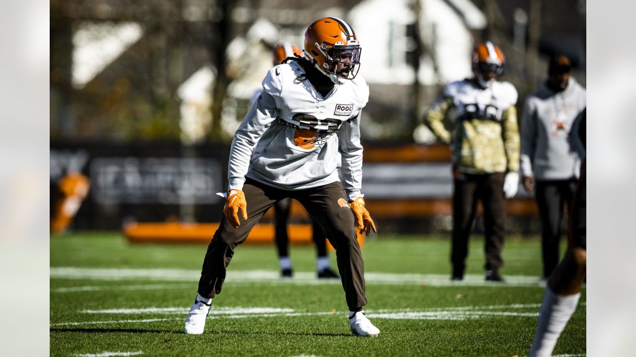 Syndication: The Enquirer Cleveland Browns tight end Harrison Bryant (88)  spikes the ball after a