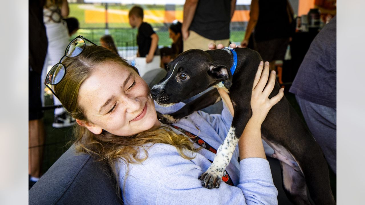 Cleveland Browns Help 82 Ohio Puppies Get Adopted, Look At Them!!!