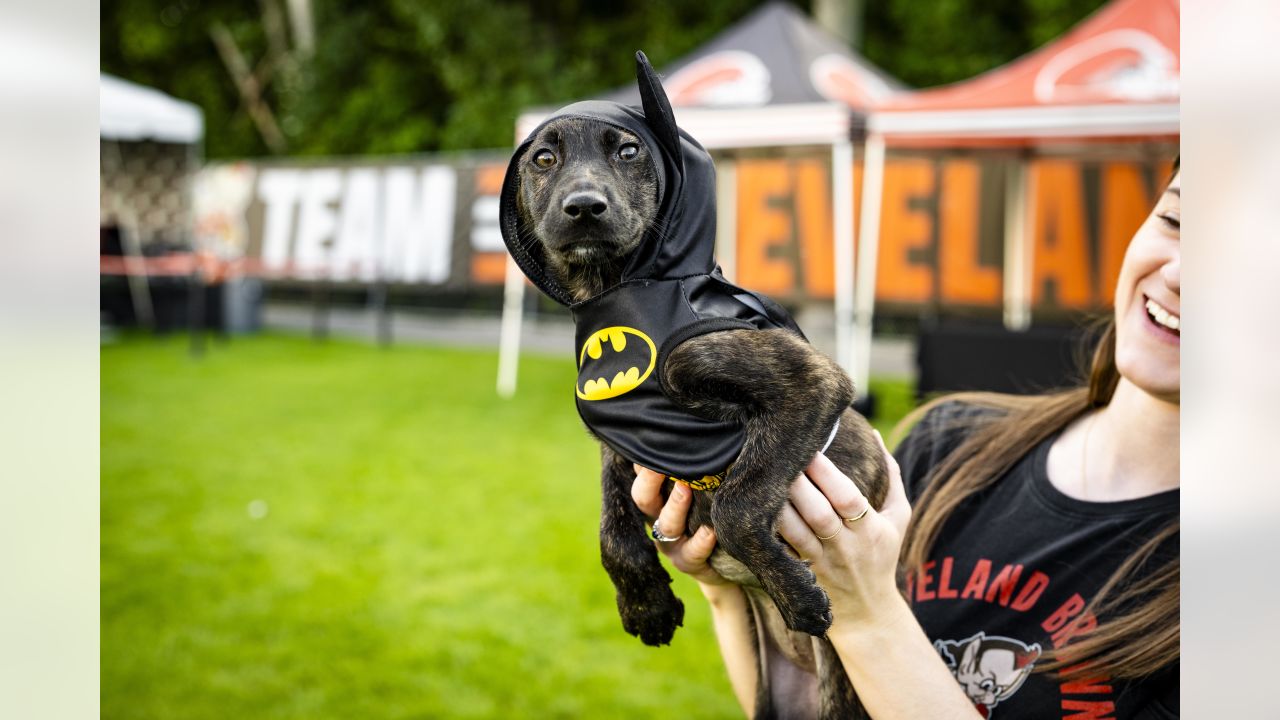 Cleveland Browns Help 82 Ohio Puppies Get Adopted, Look At Them!!!