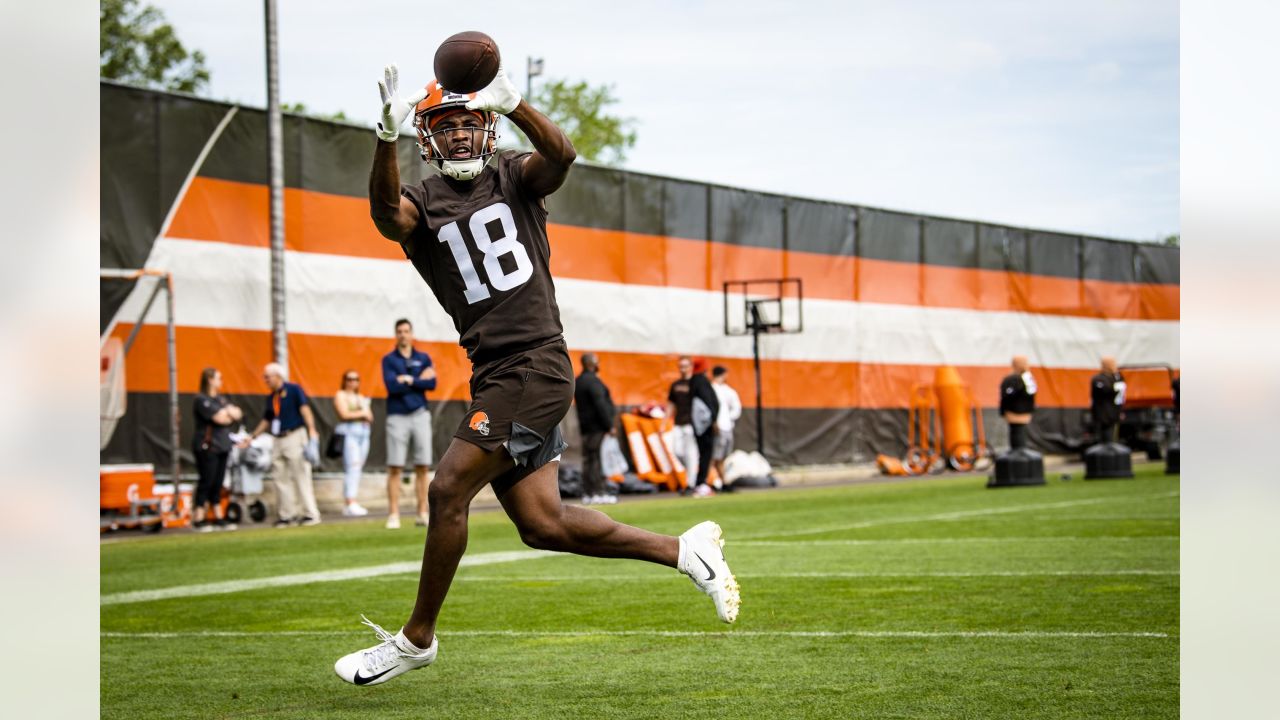 Browns 2022 Position Preview: Breaking down the WRs