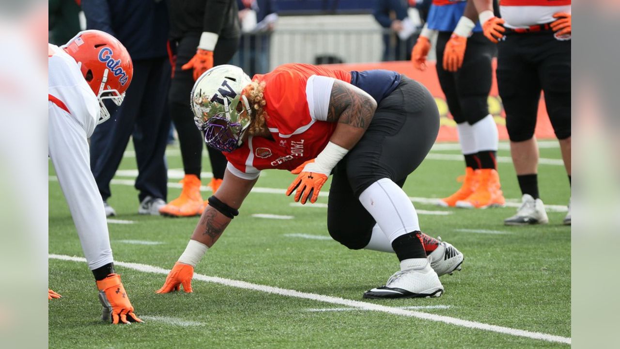 Husky NFL Draft Profiles: Danny Shelton, DT - UW Dawg Pound