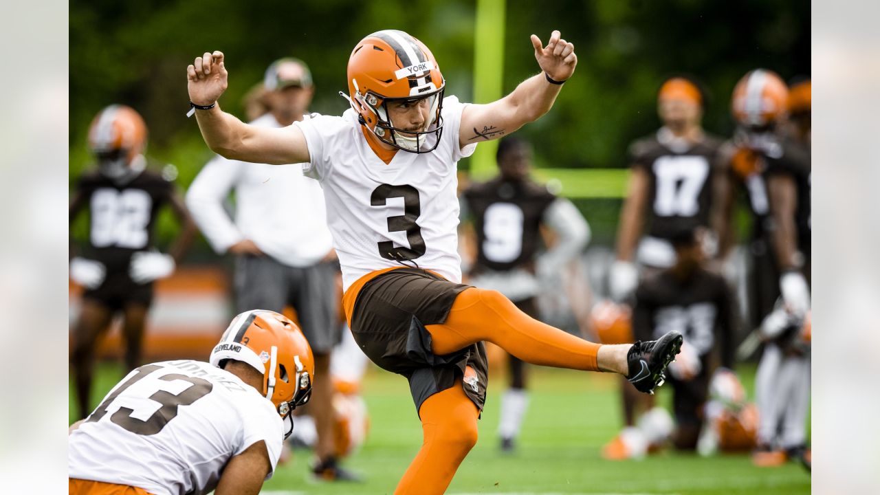 Browns 2022 Position Preview: Breaking down the specialists and