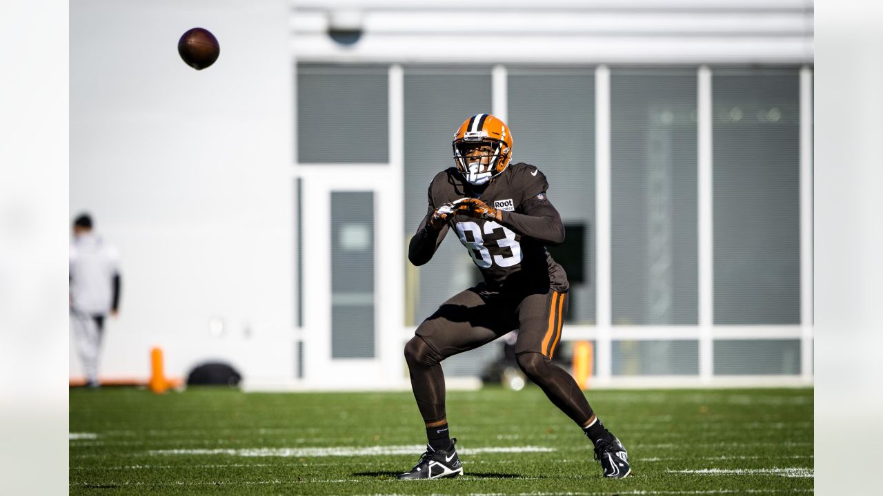 Cleveland Browns tight end Zaire Mitchell-Paden (81) makes a catch in  warmups during warmups of an NFL preseason football game against the  Philadelphia Eagles in Cleveland, Sunday, Aug. 21, 2022. (AP Photo/Ron