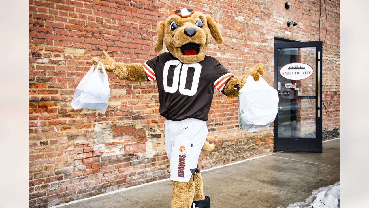 Cleveland Browns Mascot Chomps Photos and Premium High Res