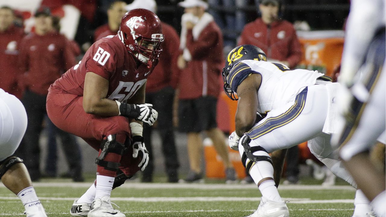 Washington State offensive tackle Andre Dillard's 2019 NFL Scouting Combine  workout 