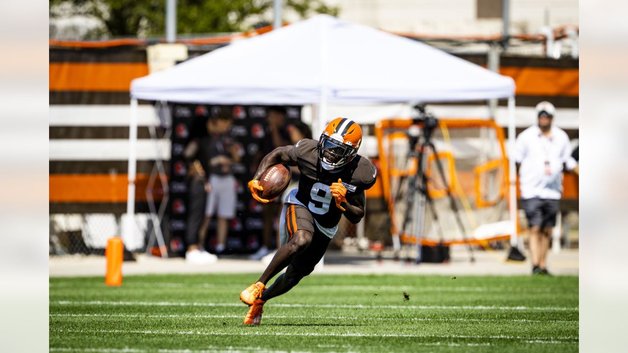 AFC North: Pre-camp look at the Cleveland Browns - Steel City Underground