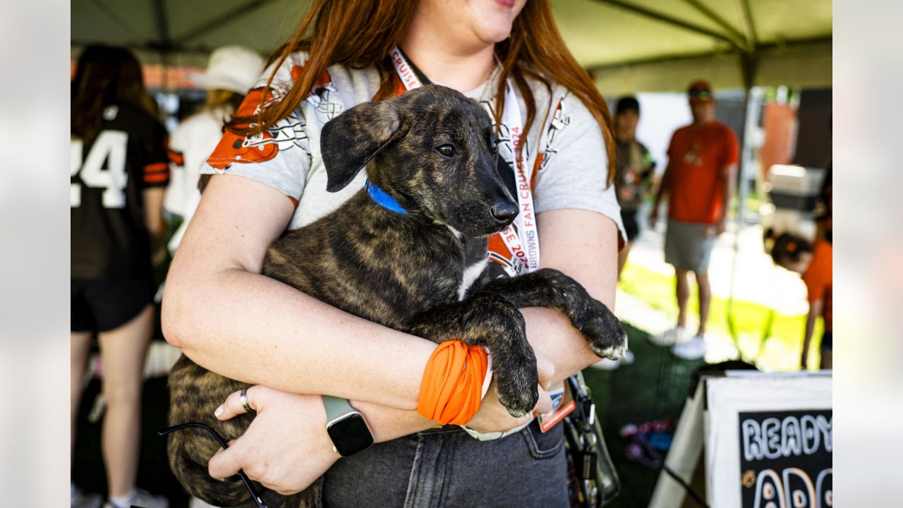 Cleveland Browns Help 82 Ohio Puppies Get Adopted, Look At Them!!!