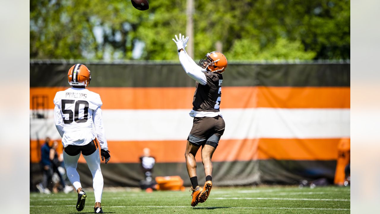 2016 Cleveland Browns bowling ball