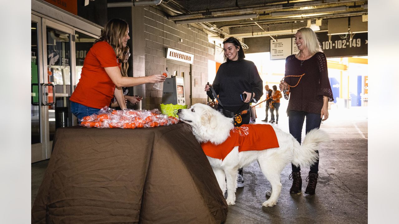 Browns host 'Howl-o-ween' for Barking Backers members at