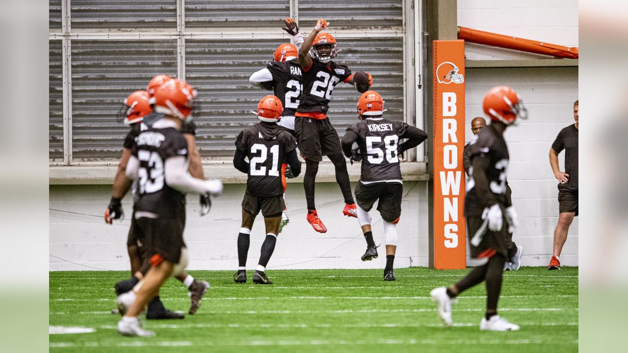 browns rookies