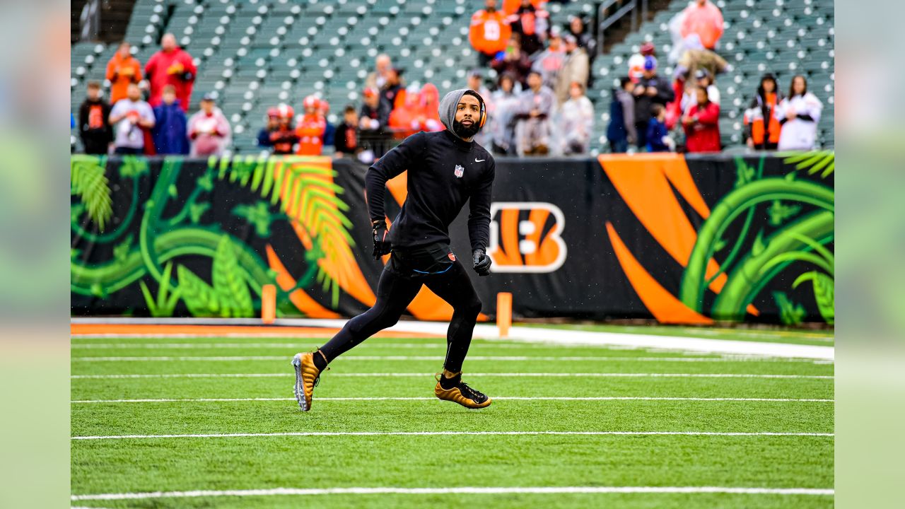 Photos: Week 17 - Browns at Bengals Pregame