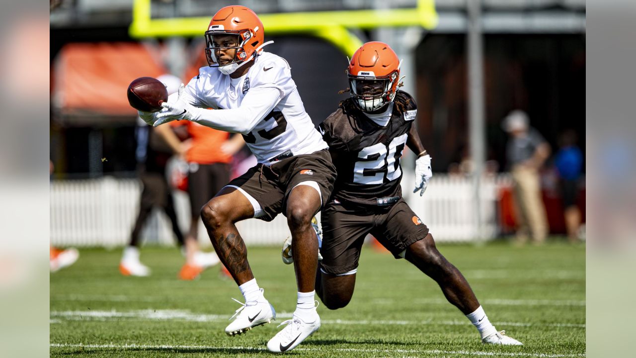 Greedy Williams Cleveland Browns Practice-Used #26 Brown Jersey From The  2021-22 NFL Season